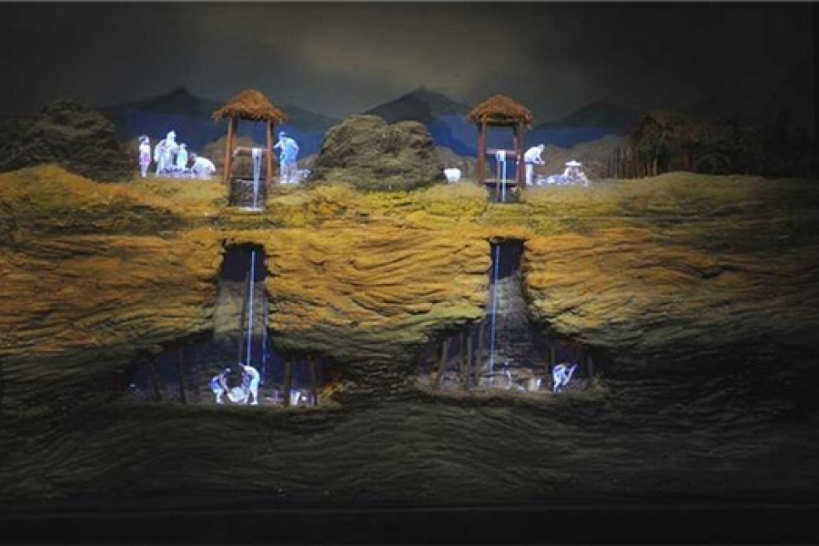 行業(yè)動態(tài)