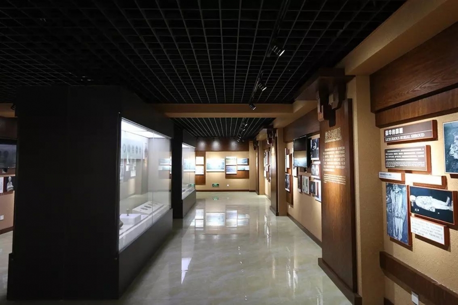 行業(yè)動態(tài)